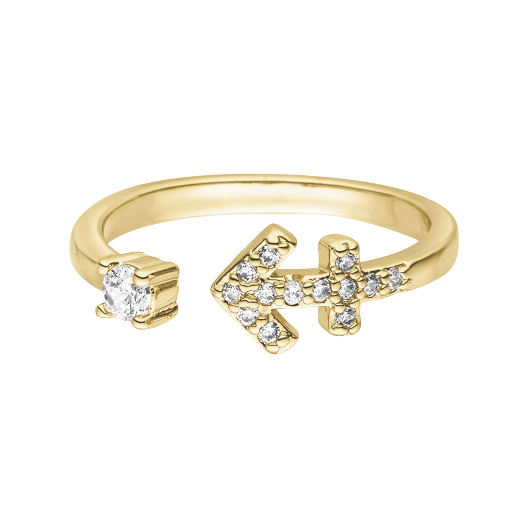 Sternzeichen Ring