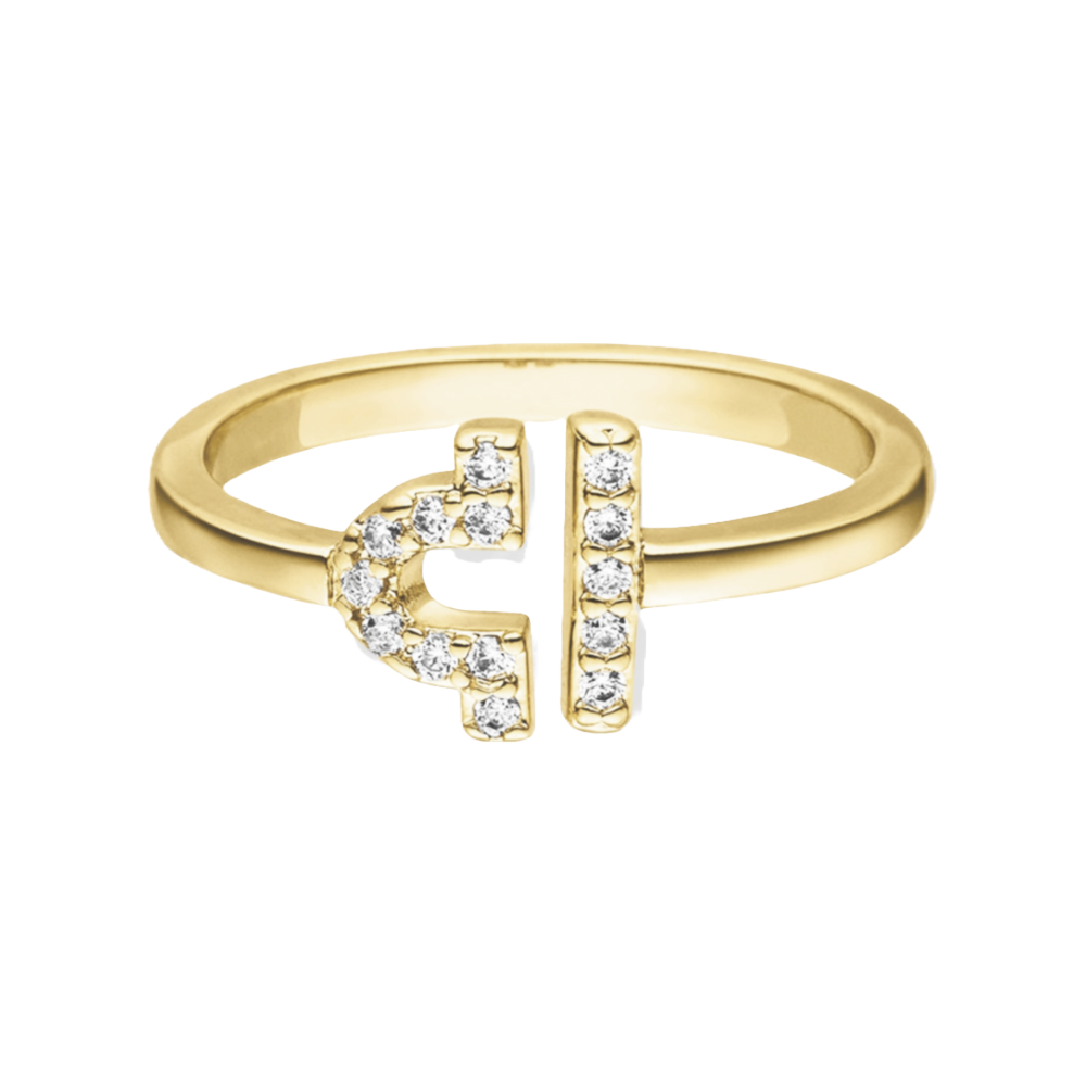 Sternzeichen Ring
