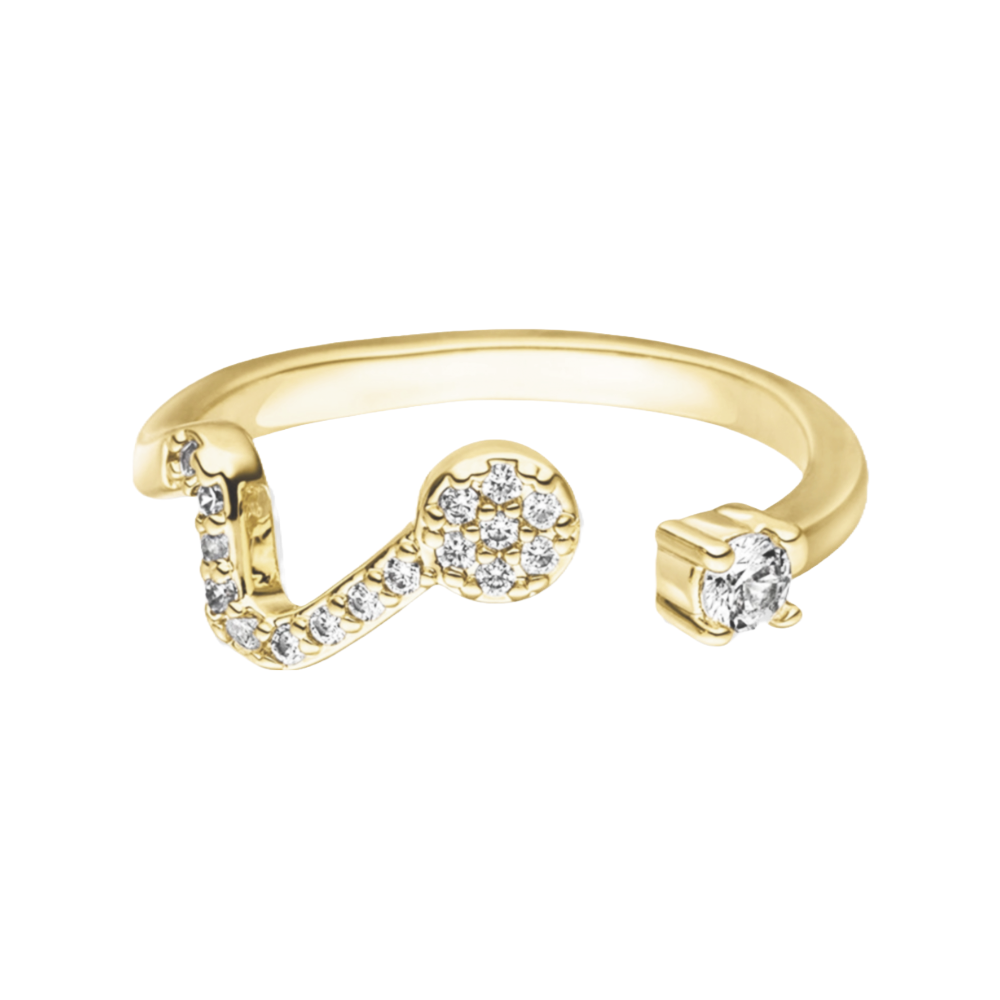Sternzeichen Ring
