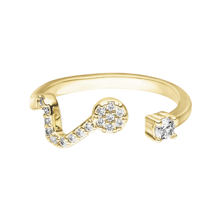 Sternzeichen Ring
