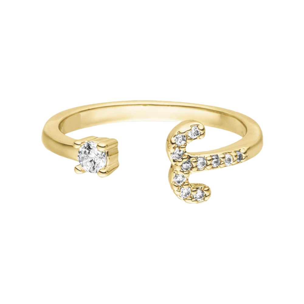 Sternzeichen Ring