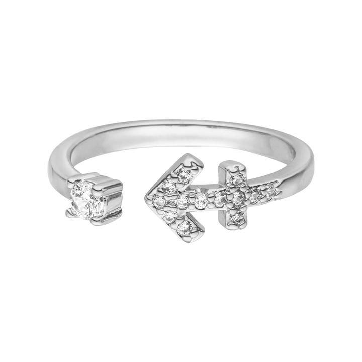 Sternzeichen Ring